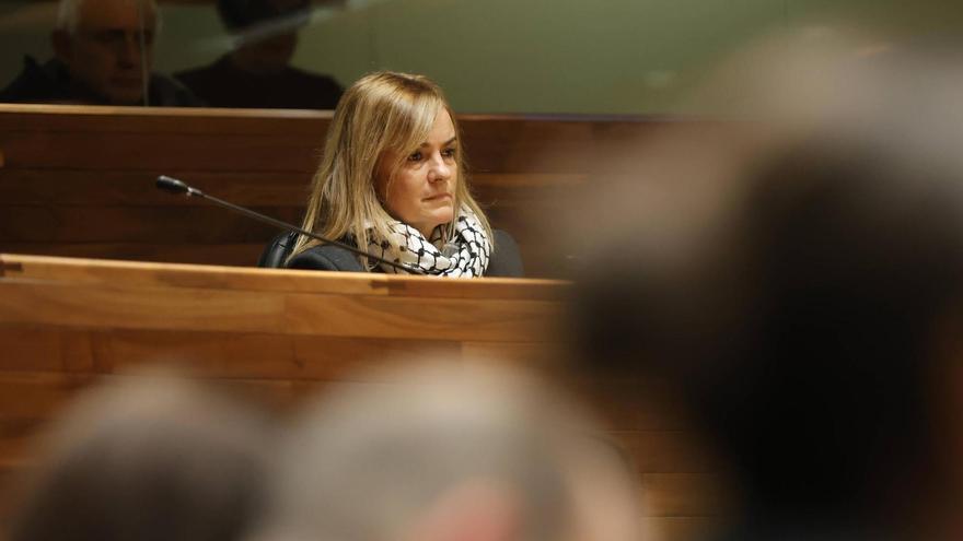 Covadonga Tomé en un pleno de la Junta