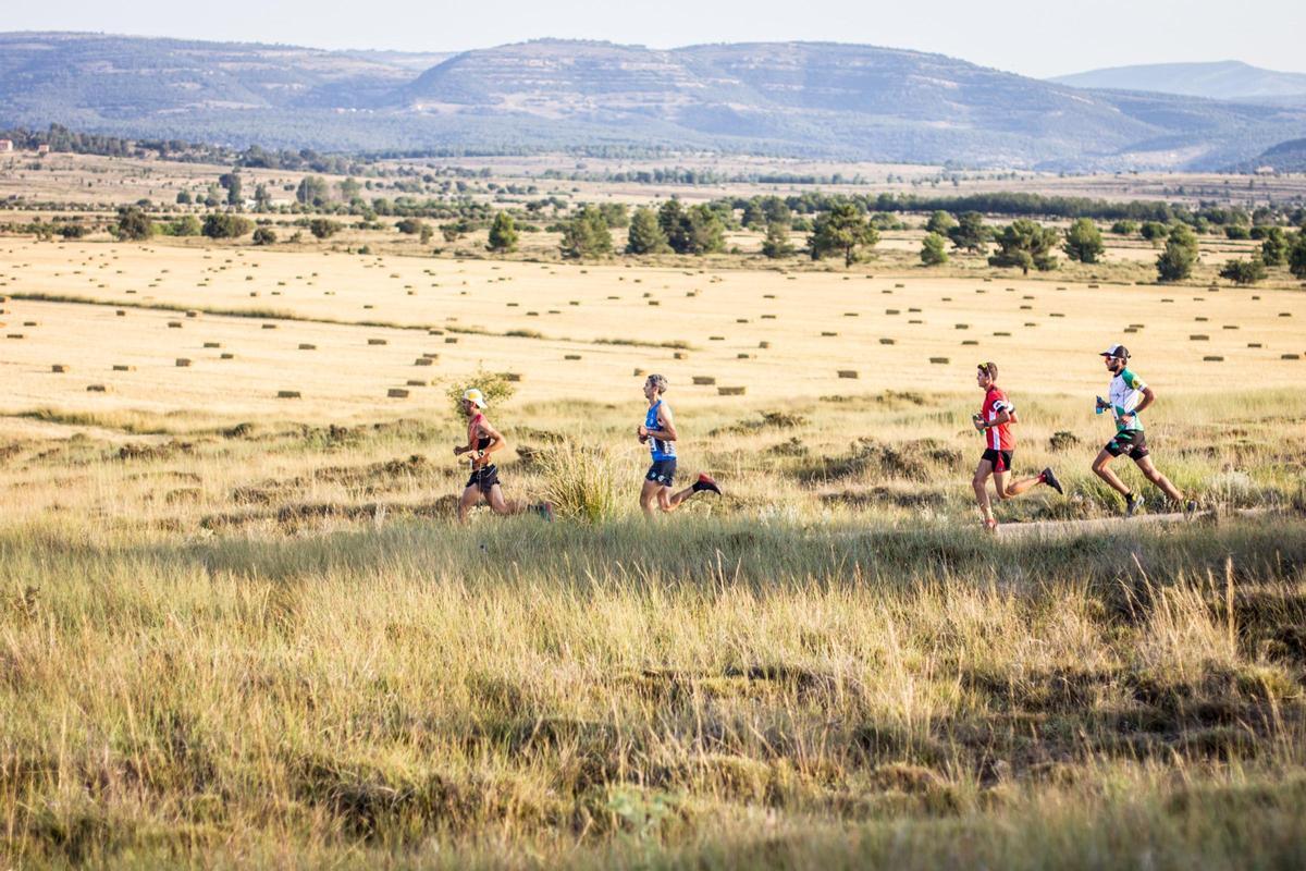 La Cursa per Muntanya Vistabella.