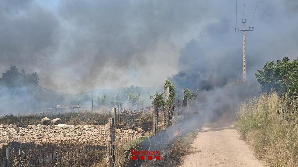 Uno de los dos incendios que tuvieron lugar este pasado domingo en Vilallonga del Camp (Tarragonès).