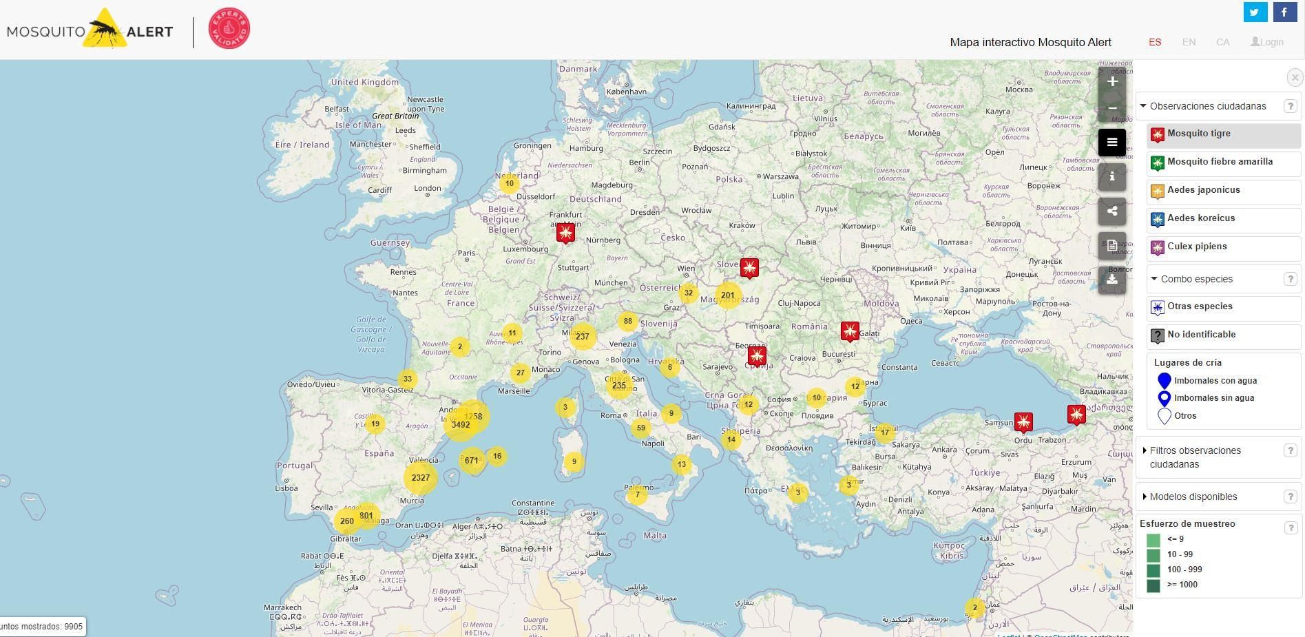 Captura de pantalla del primer mapa de risc de trobar-se un mosquit tigre del projecte Mosquito Alert
