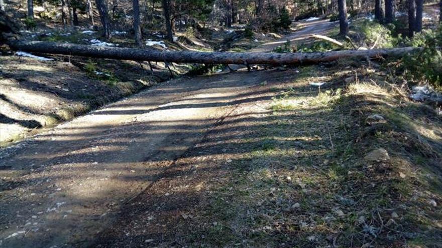 La DGA retirará los árboles que derribaron las tormentas de nieve