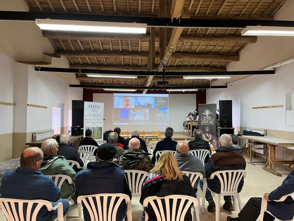Productores, técnicos y vecinos interesados en el cultivo del castaño participan en una de las jornadas formativas.