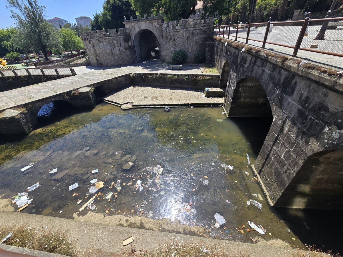 Algunos de los plásticos que hoy acabaron en el río.