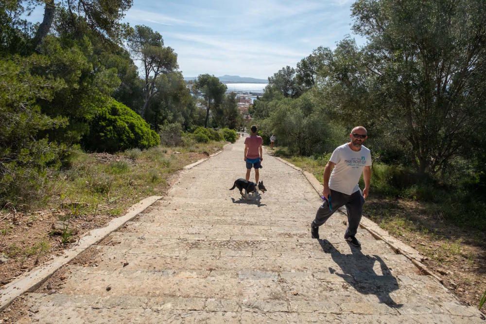 Die Parks in Palma de Mallorca sind wieder geöffnet