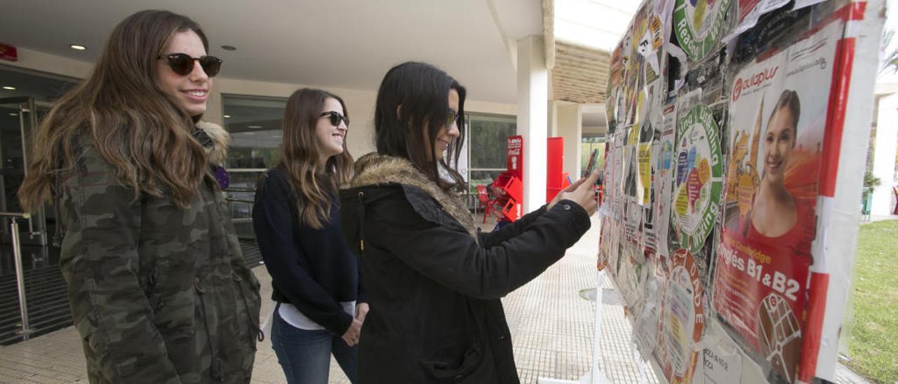 La ley del panel en la Universidad de Alicante