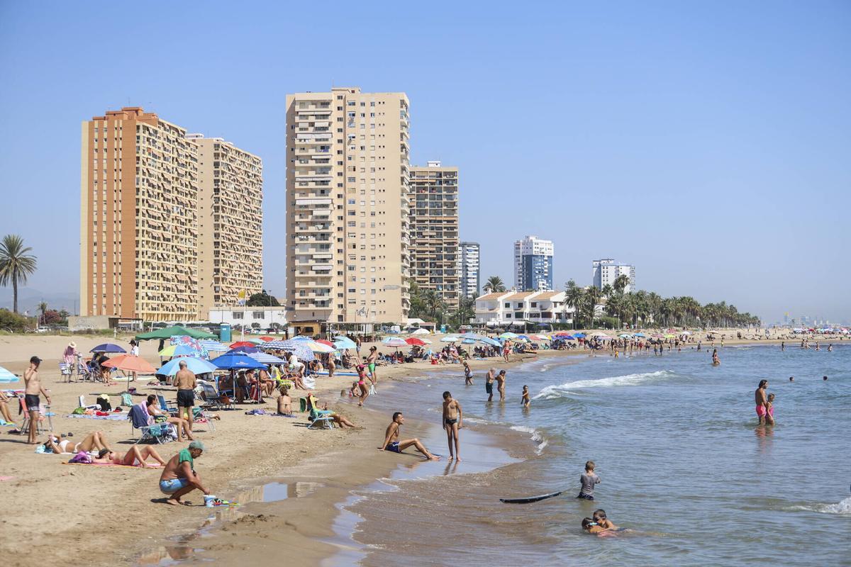 Valencia. Playa de la Pobla de Farnals. Y algas