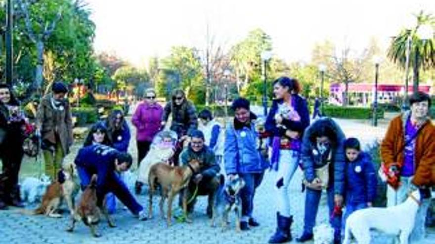 Una campaña fomenta en Don Benito el buen cuidado y manejo de mascotas