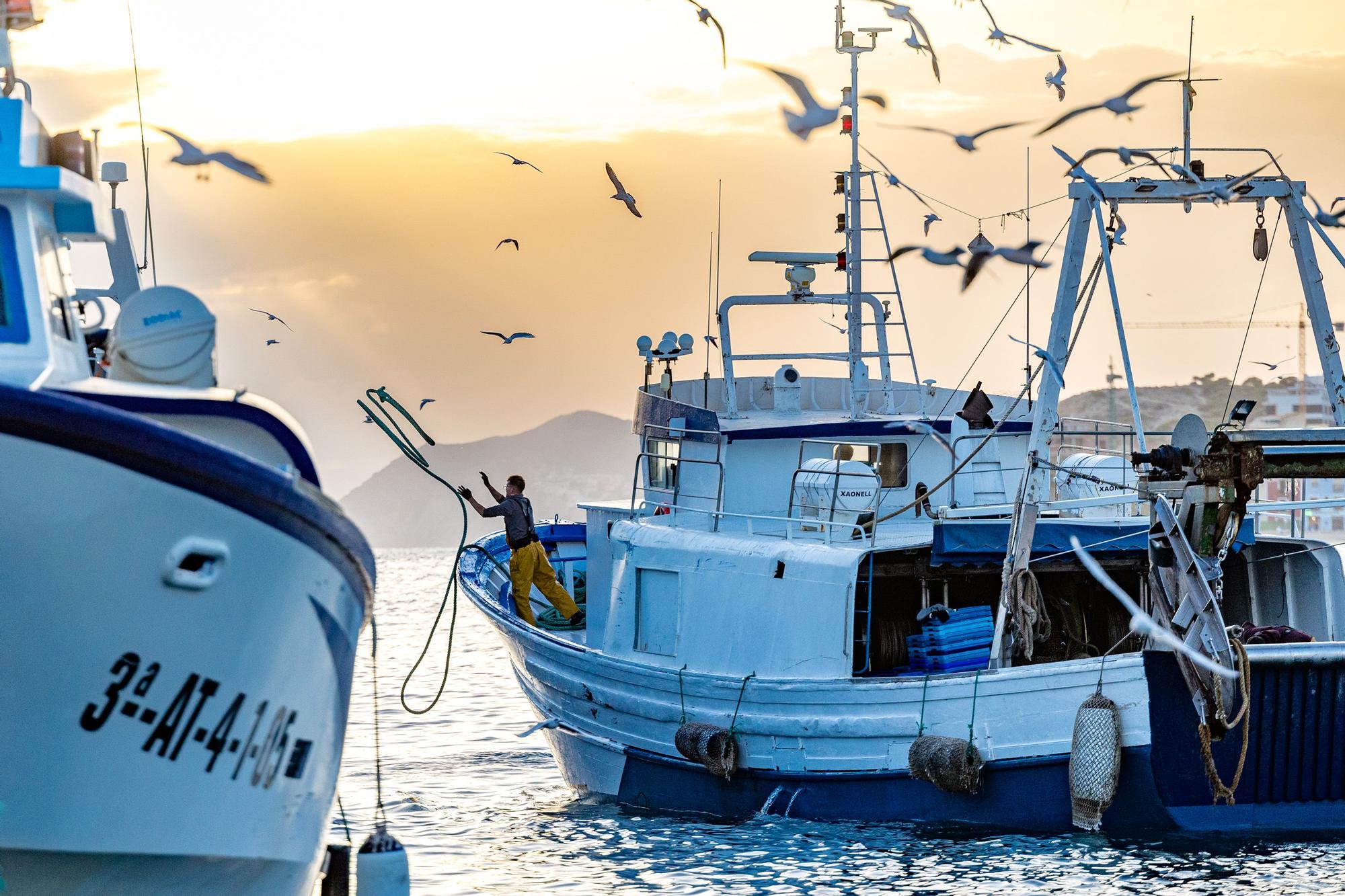 Pesca y Turismo en Villajoyosa