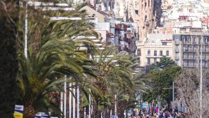 Imagen de la Marató de Barcelona 2025