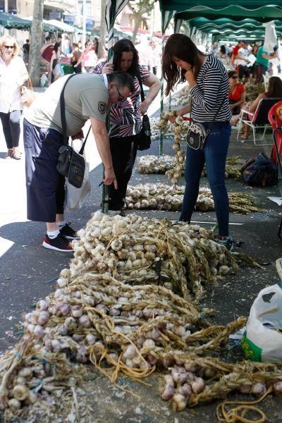 San Pedro 2016: Clausura de la Feria del Ajo