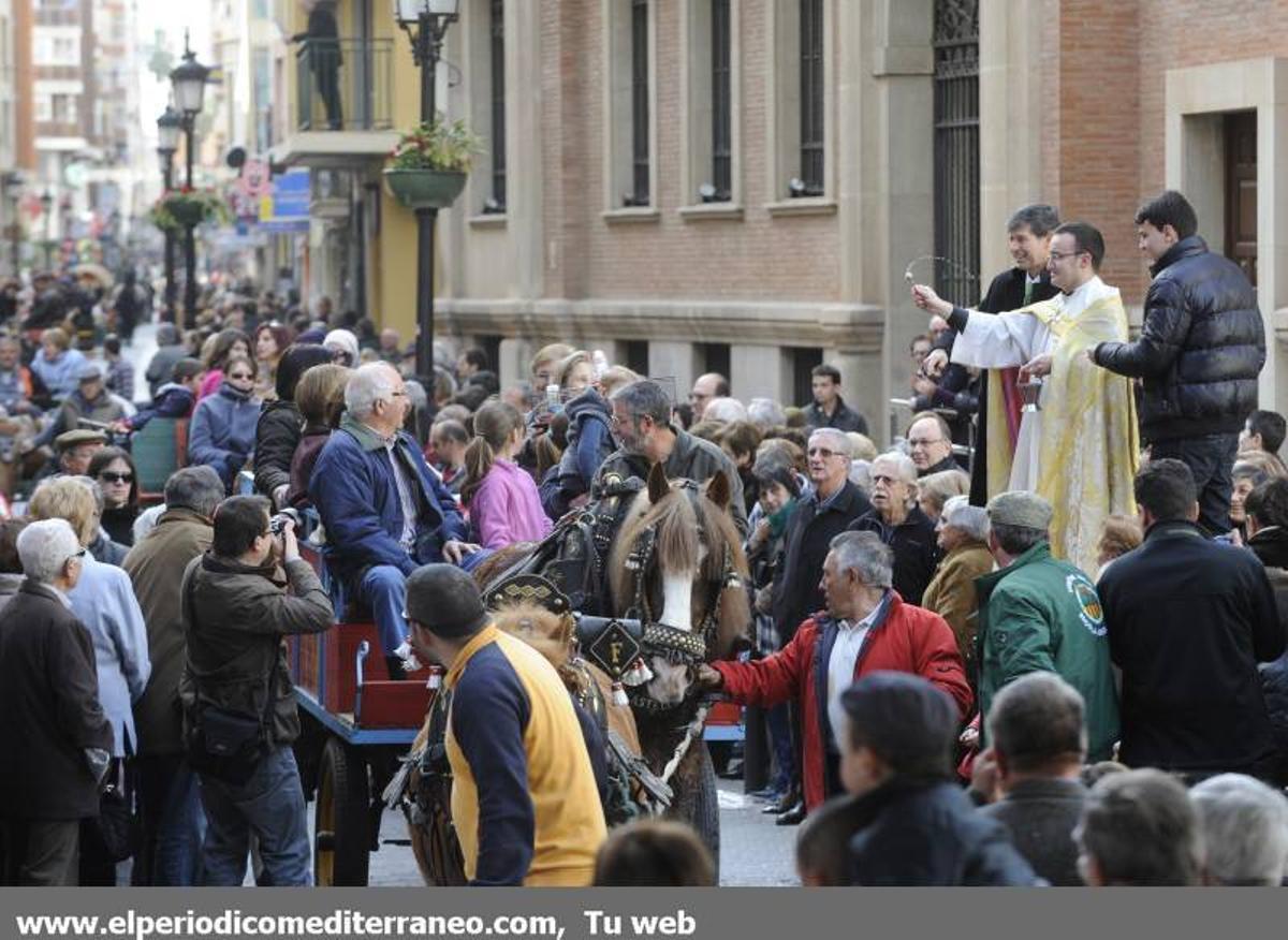 GALERÍA FOTOS - La provincia celebra Sant Antoni