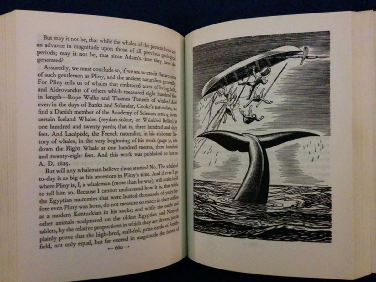 SALVAR A MOBY DICK  Y aL CAPITÁN AHAB