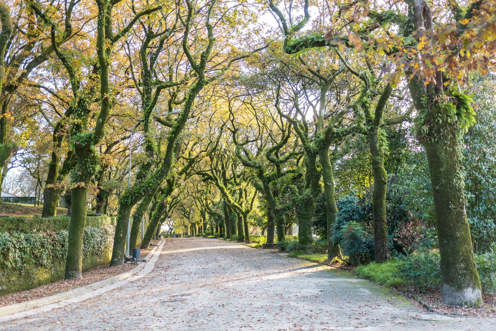 Parque de la Alameda (Santiago)