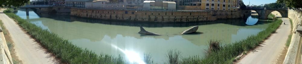 El río Segura a su paso por Murcia