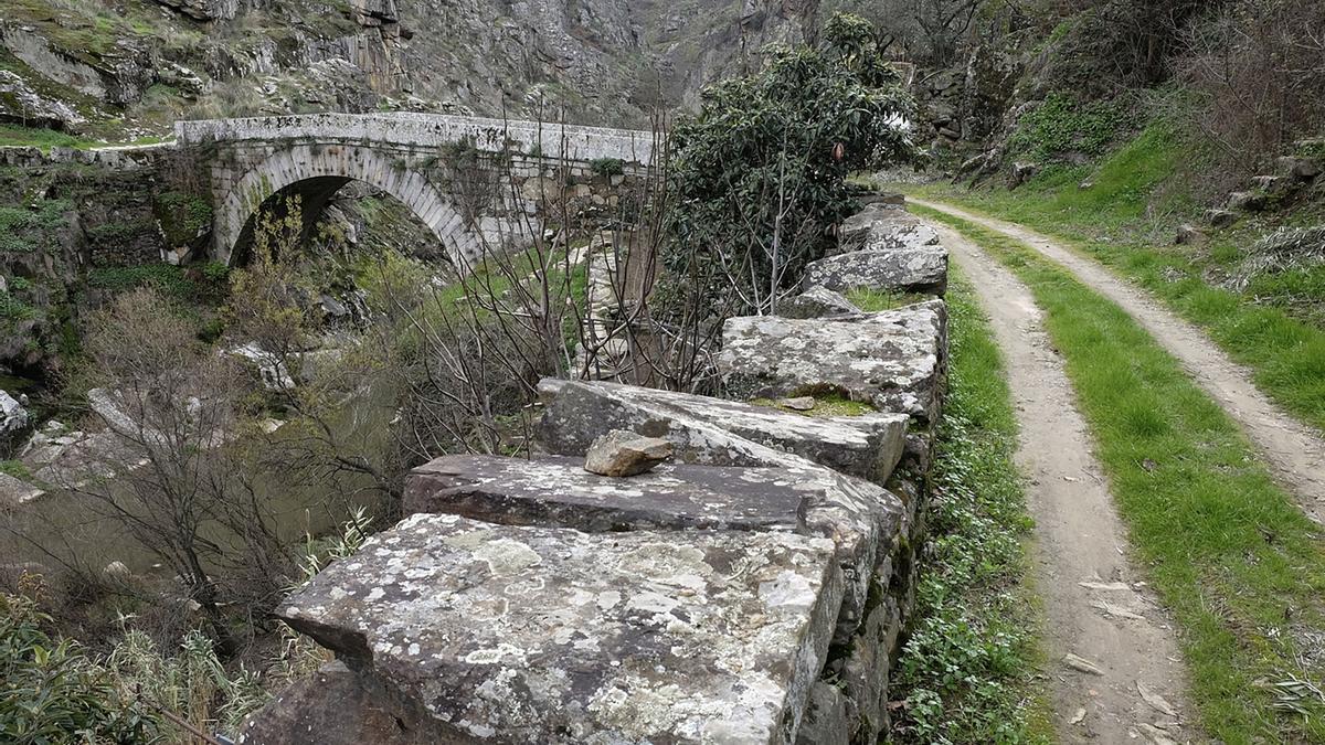 Puente medieval sobre el Varosa, Lamego.