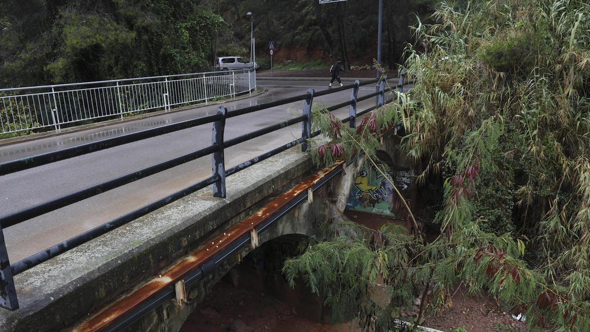 Vista del barranco lleno de vegetación.