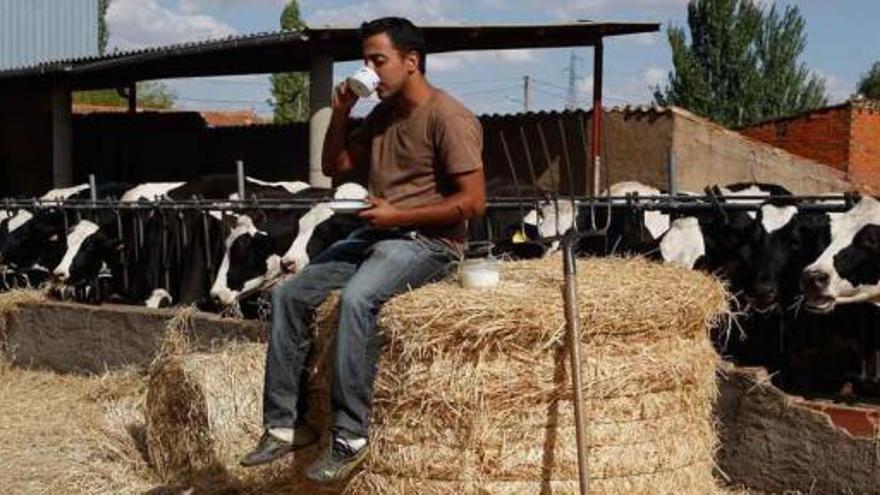 El café que el ganadero Eduardo González se toma en su explotación ha costado lo mismo que cuatro litros de la leche de sus vacas.