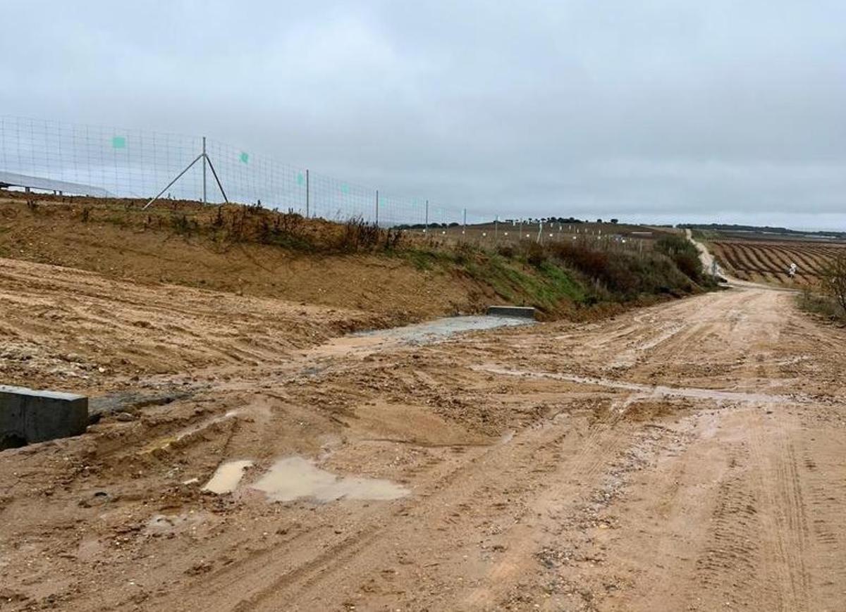 Uno de los caminos agrícolas de Toro afectado por los proyectos de plantas solares