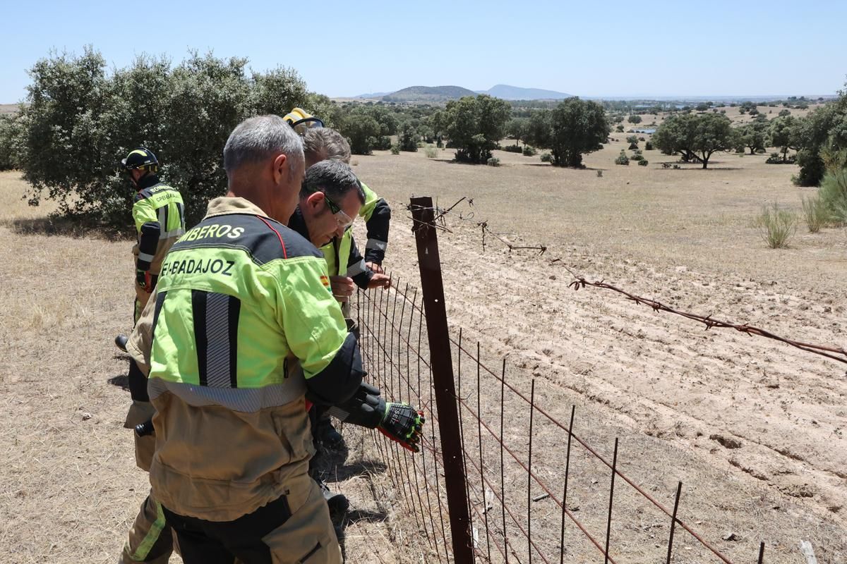 Fotogalaría | Accidente de avioneta cerca de Mérida