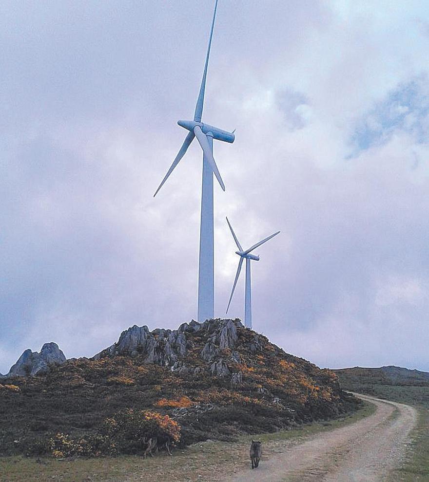 Unos aerogeneradores en la Serra do Suído. / D.P.