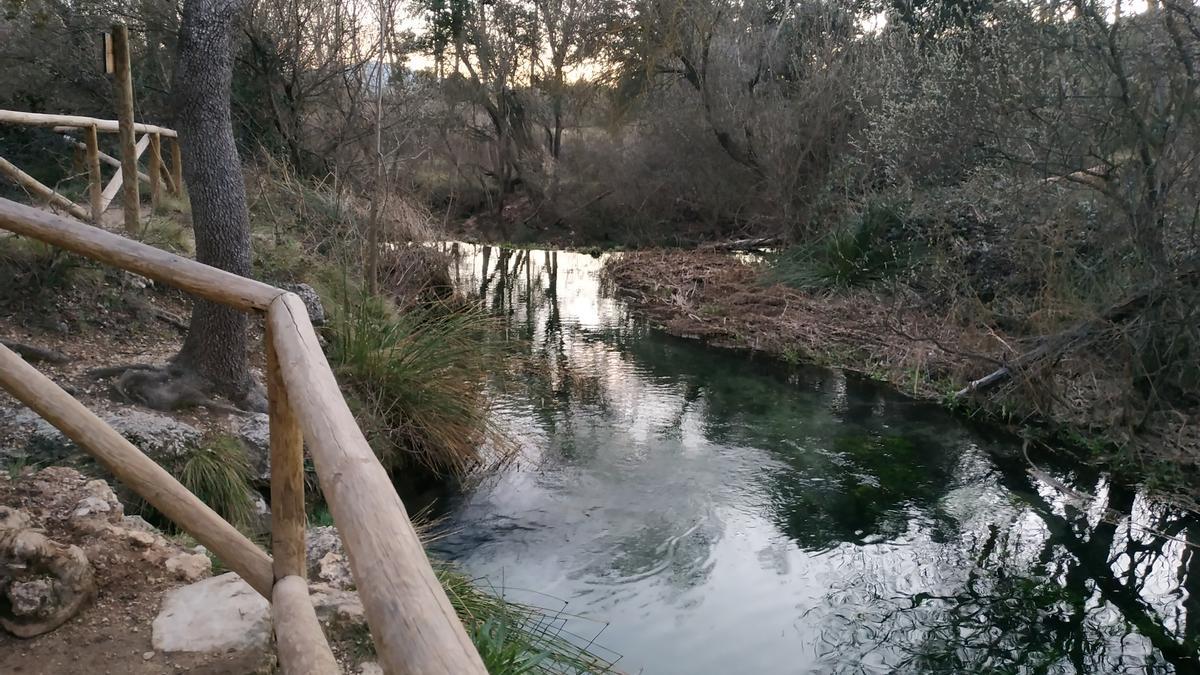 Parques naturales Comunidad Valenciana | Parque Natural de Sierra de Mariola