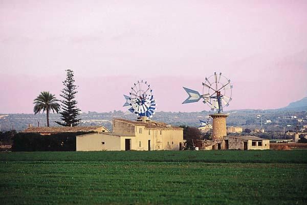 Landestypische Windmühlen auf Mallorca.