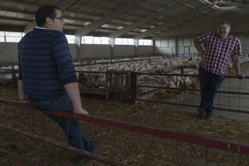 Los labradores y ganaderos piden precios justos.