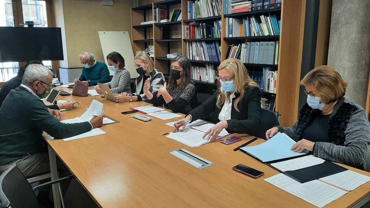 La teniente de alcalde Neus Tryol ha comparecido esta mañana ante la comisión de presupuestos.