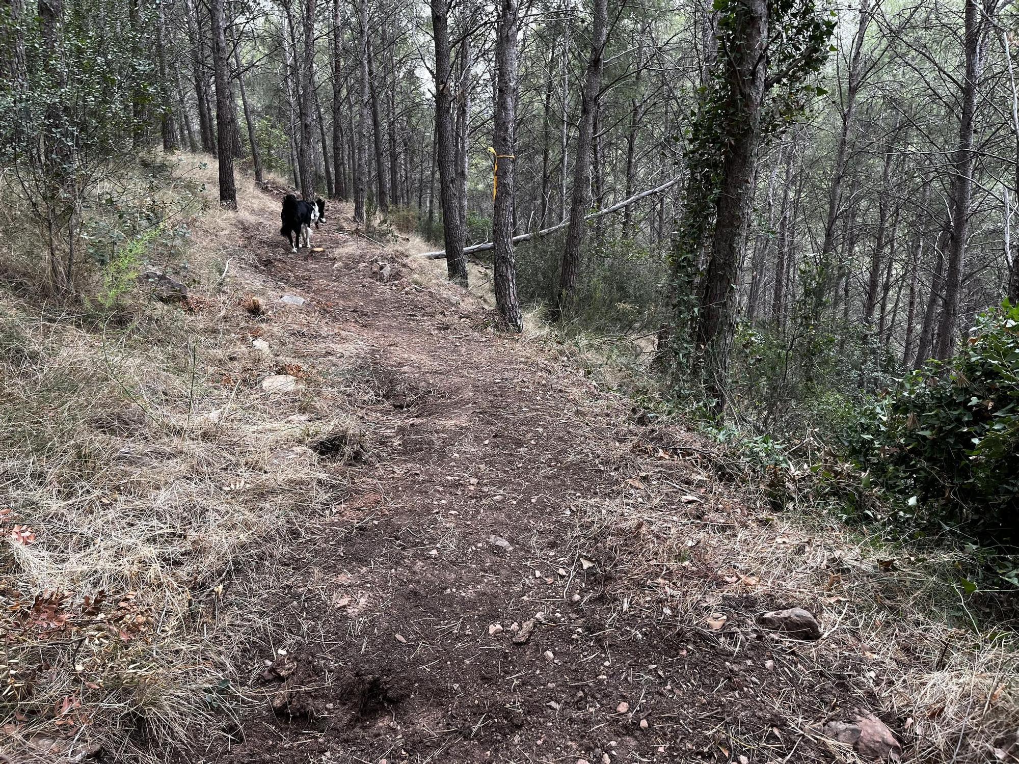 Las imágenes de la pista ilegal abierta en la Vilavella para practicar BTT