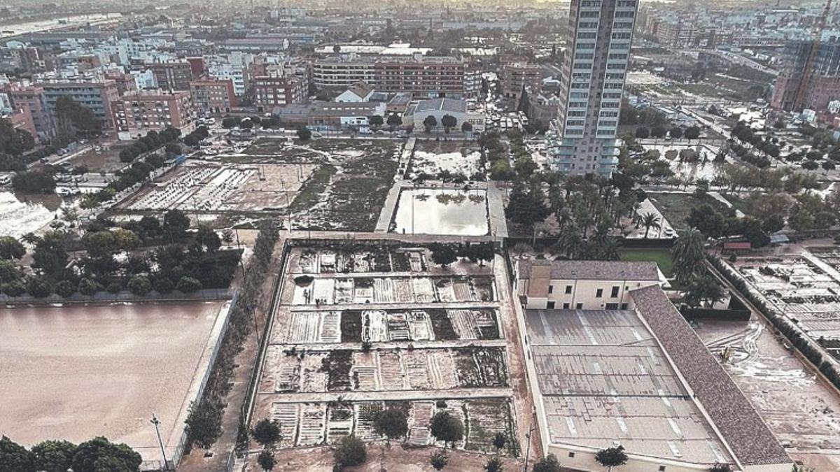 La afección en L'Horta Sud en una imagen captada desde un edificio alto en la pedanía de La Torre.