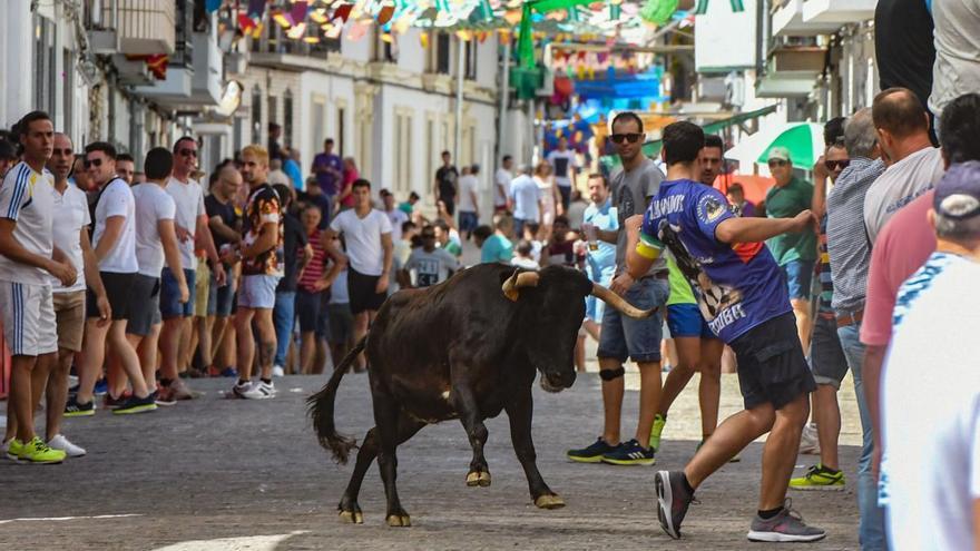 De encierros y fiesta en El Viso