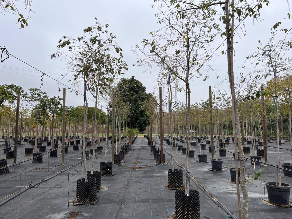 vivero de miraflores