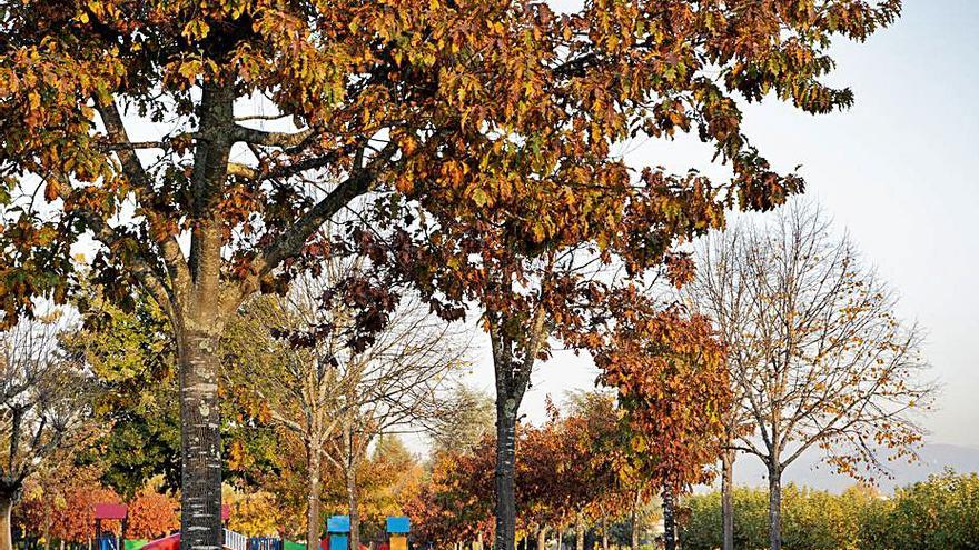 Parque público da Canuda, en Salvaterra.   | // FDV