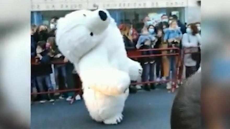 Recogen firmas para que el oso polar del cuello roto vuelva a la cabalgata de Cádiz