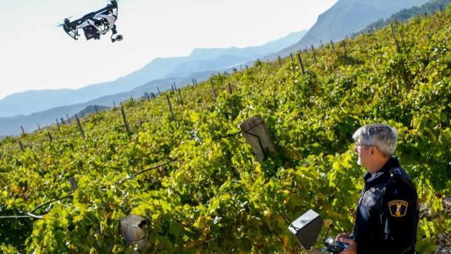 Novelda exhibe su dron contra el robo en los viñedos ante los agricultores