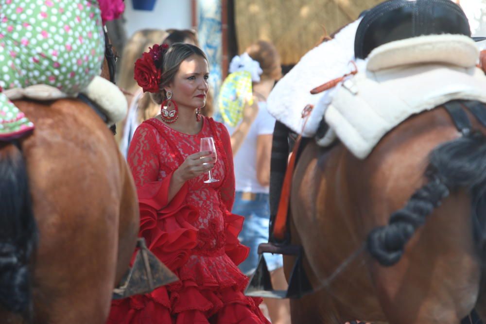 Domingo en el Cortijo de Torres.