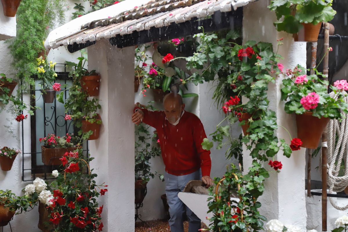 Los Patios de Córdoba 2022 abren sus puertas