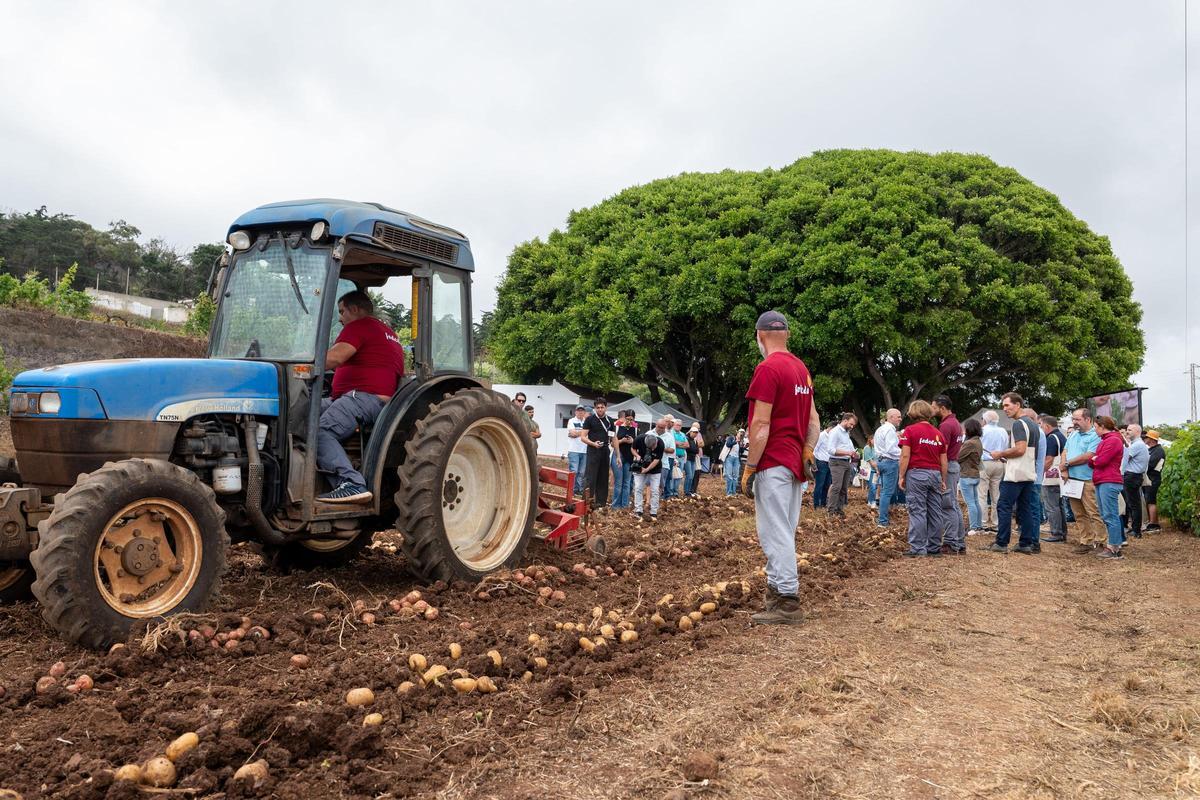 Fedola celebró en la Finca Los Álamos, en Tacoronte, una nueva edición de Papatour