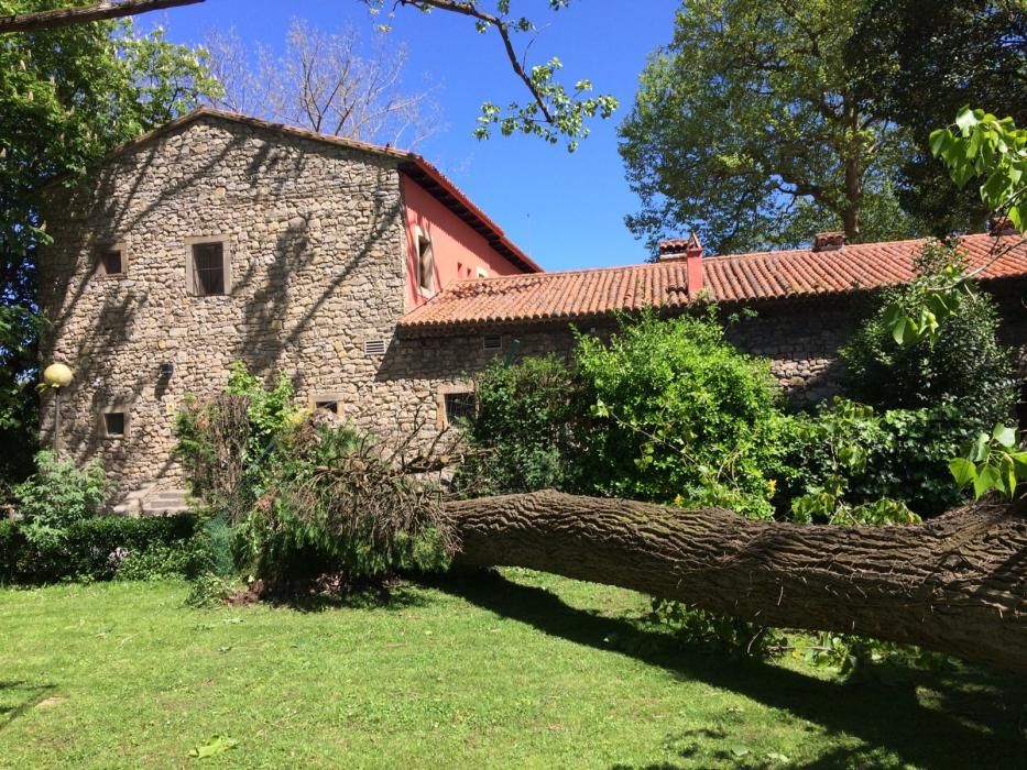 Fuerte viento en Gijón