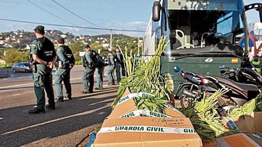 La marihuana confiscada en el major operatiu del 2018.