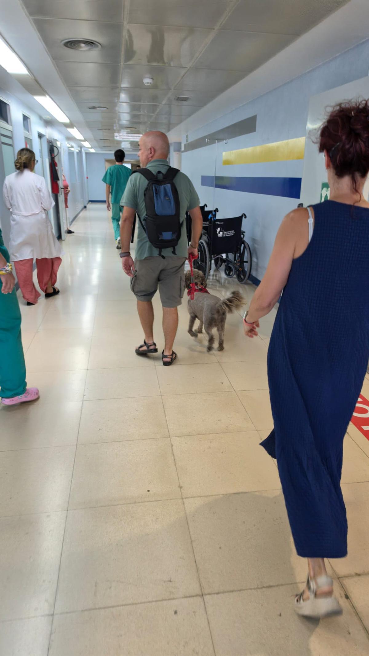 Fotogalería/Las imágenes del reencuentro de Aida y Boira en el hospital de Plasencia