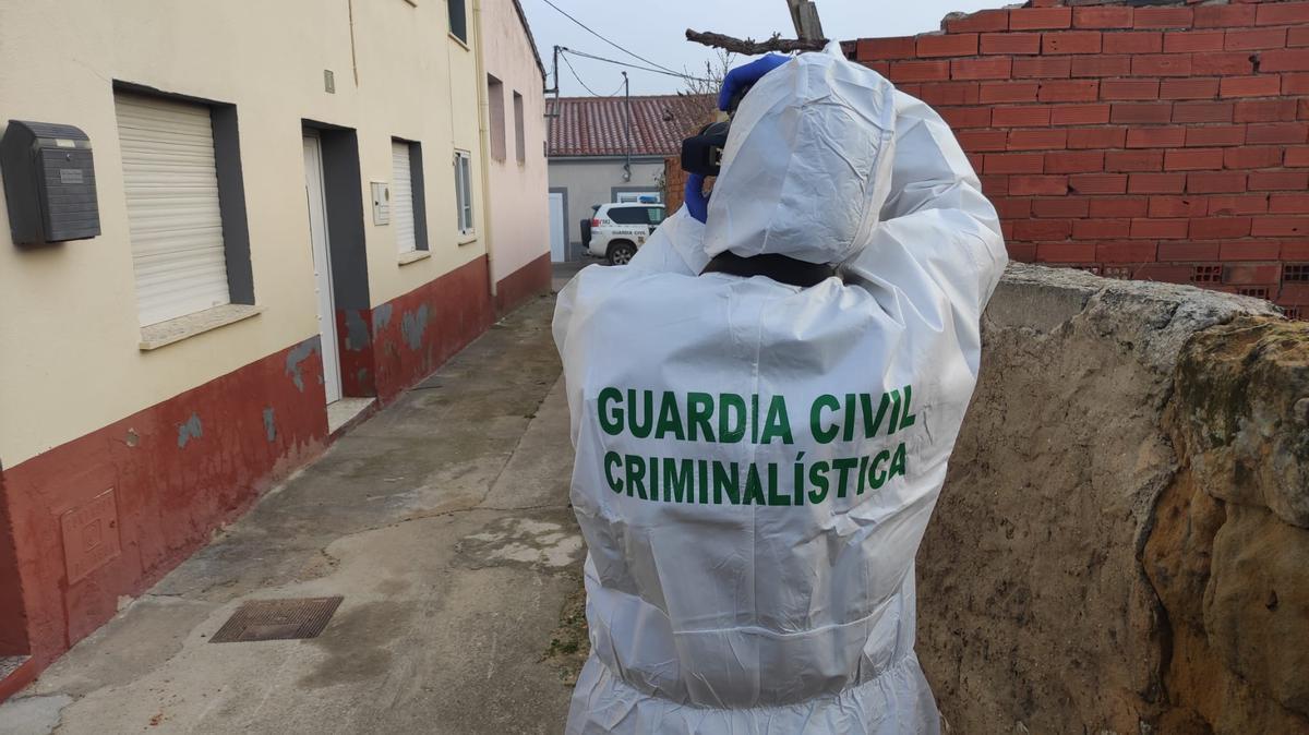 Crimen en peleas a continuación