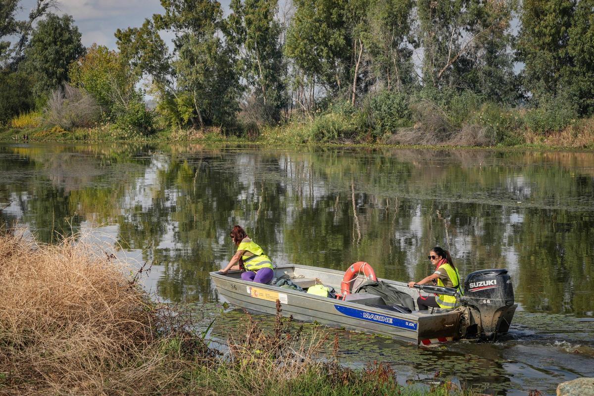 Trabajos de retirada del nenúfar en Brazo Jamaco. La foto es del 28 de octubre.