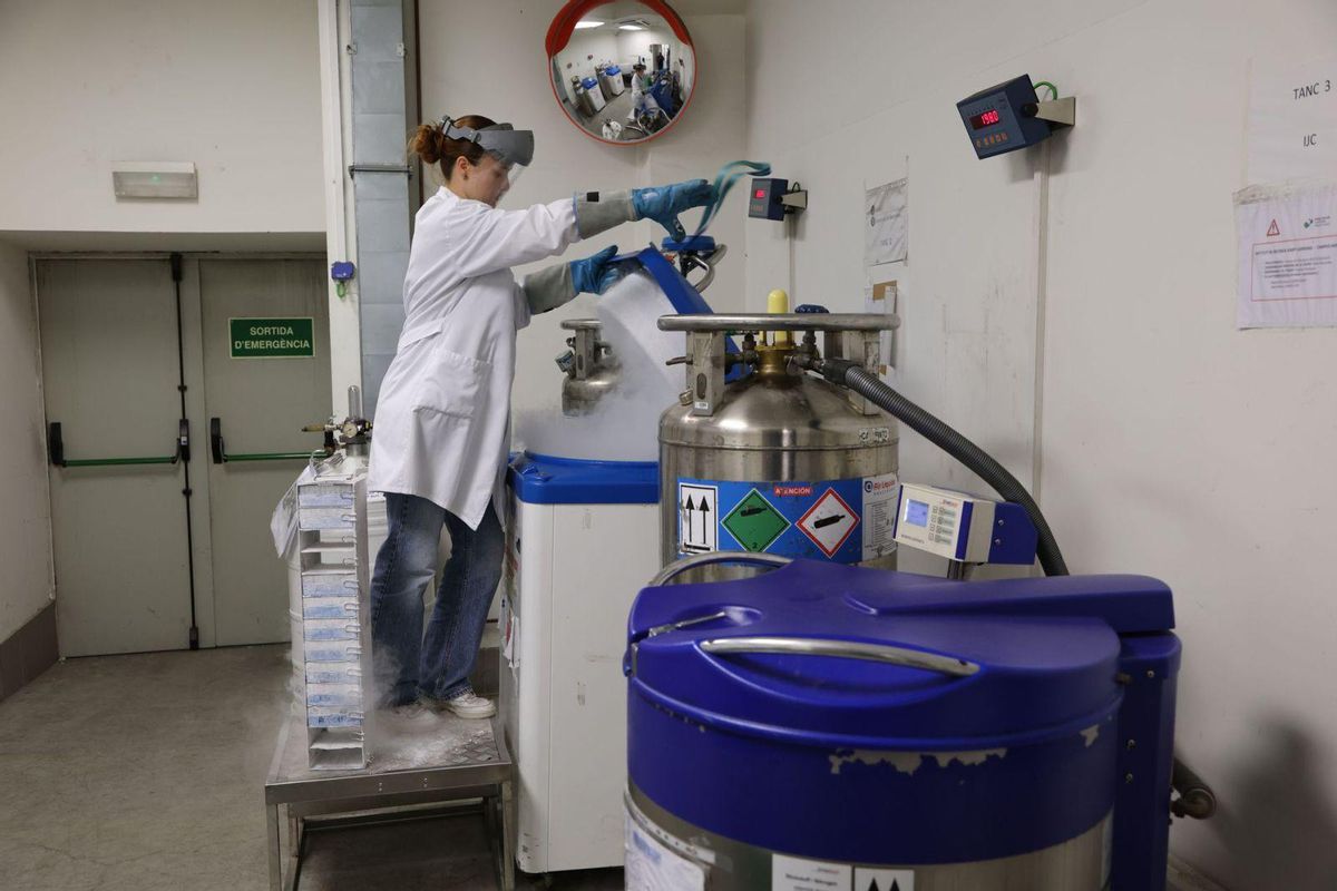 Les universitats s’obren a tenir més places de Medicina si hi ha finançament Les universitats s’obren a tenir més places de Medicina si hi ha finançament