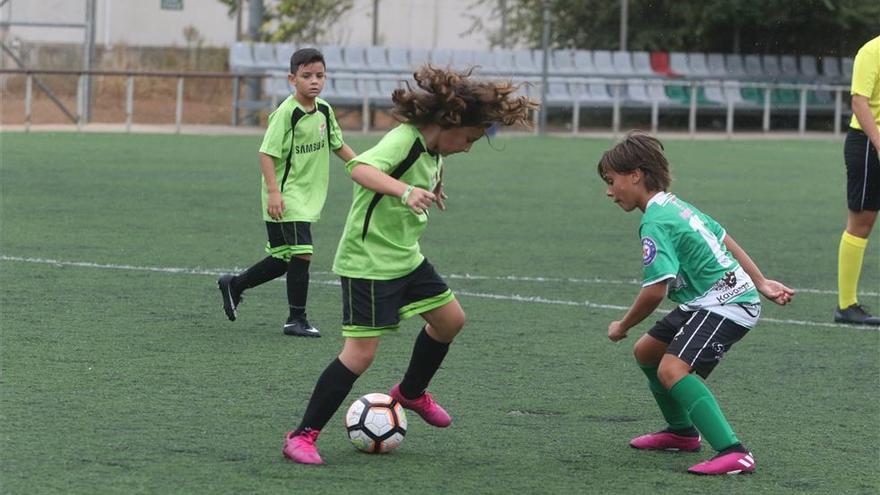 Las primeras ligas federadas ya están en marcha