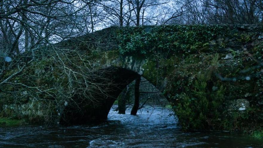 Ponte Vella de Andón, del siglo XV |   // JAIME OLMEDO