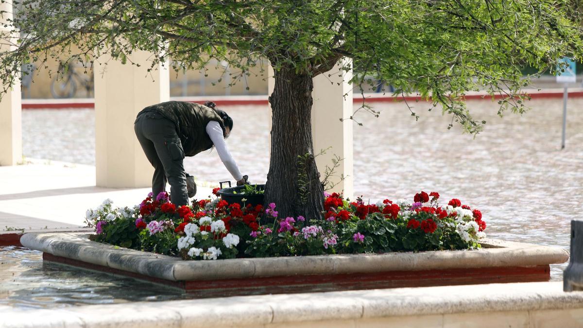 Jardinera en un parque de la capital