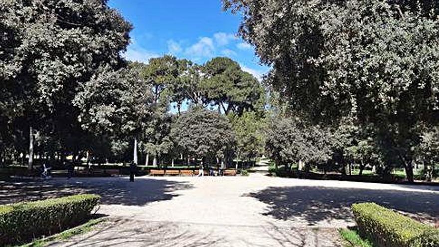 L&#039;espai del parc Bosc que incorporarà el nou nom.