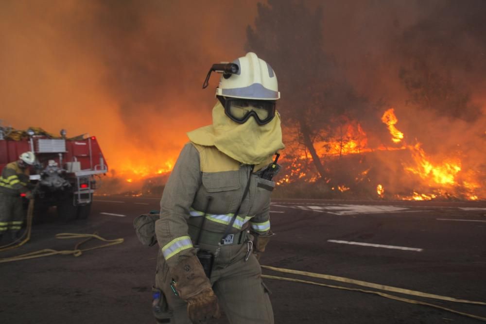 La ola de incendios forestales alcanzan a Santiago