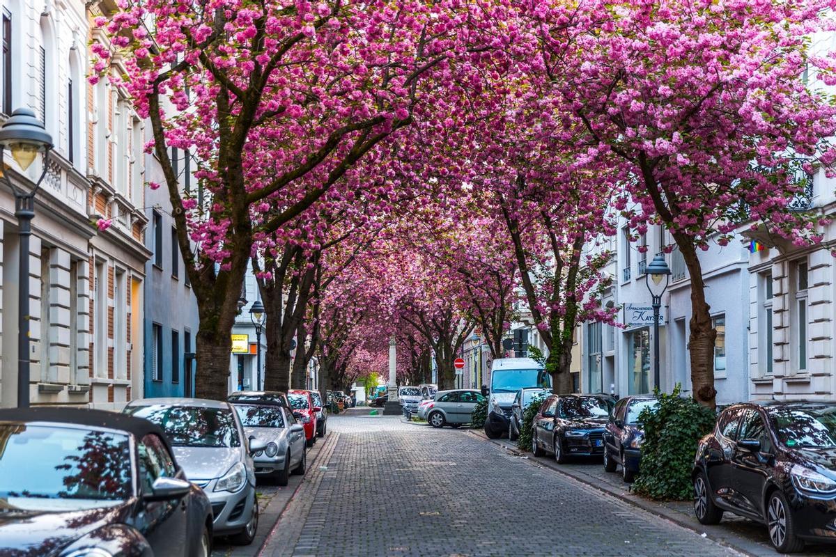 Heerstrasse (Bonn, Alemania)